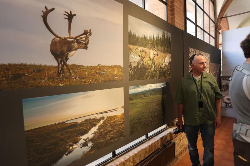 Un visitatore davanti alle fotografie di una mostra del festival